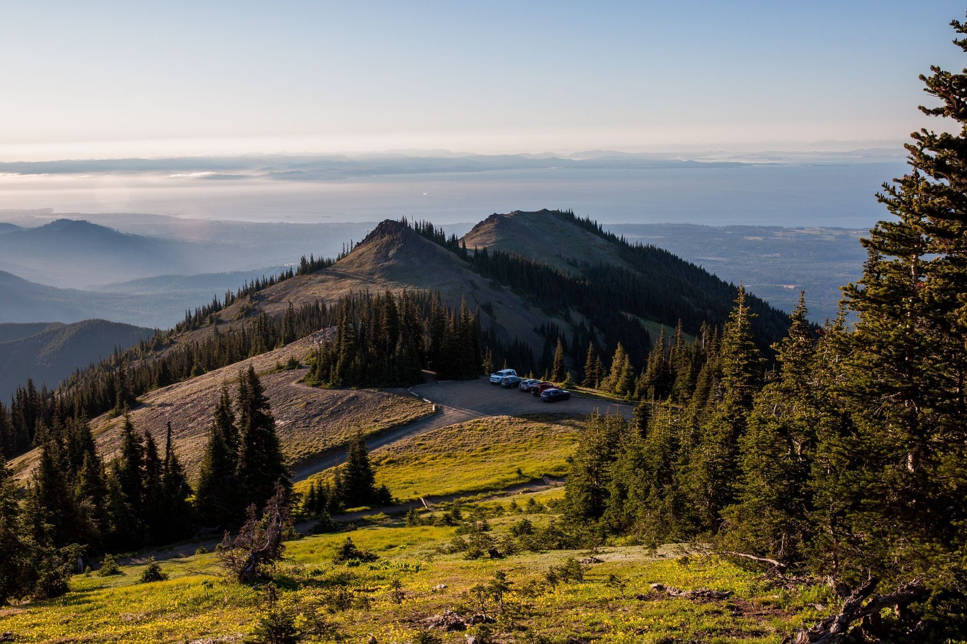 Sunlight illuminates an alpine ridge, evergreen forest, and distant coastal waters in Olympic National Park.