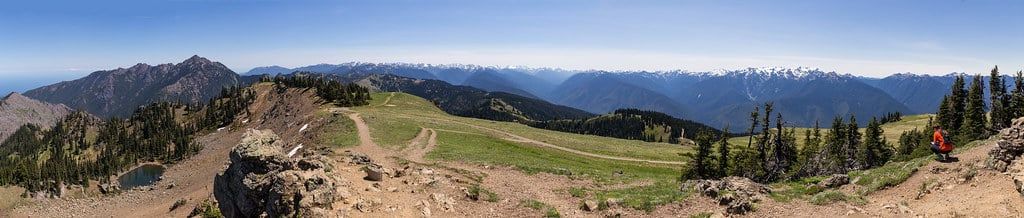 Panoramic view along the Hurricane Hill ridge trail in Olympic National Park, overlooking distant mountain ranges under a clear blue sky.