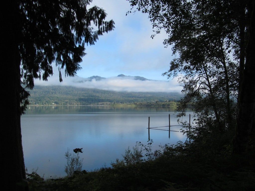Lush evergreen trees frame the calm waters of Lake Quinault as morning mist hovers over the mountains in Olympic National Park.