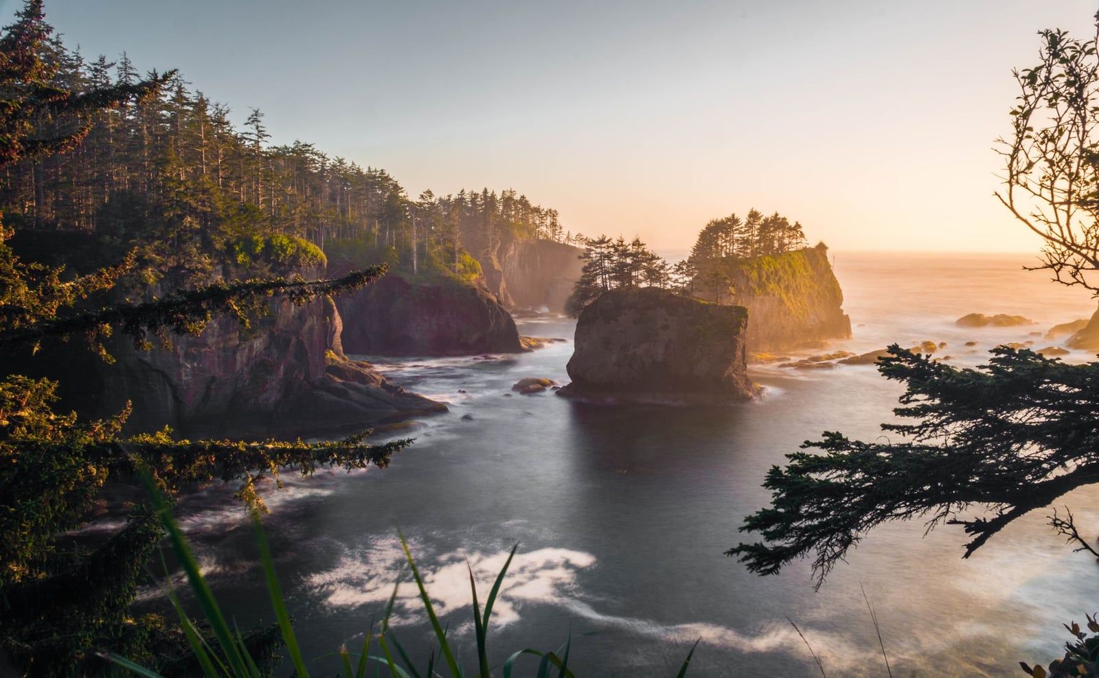 Rugged sea stacks and forested cliffs bathed in warm sunset light along the Cape Flattery coastline near Olympic National Park.