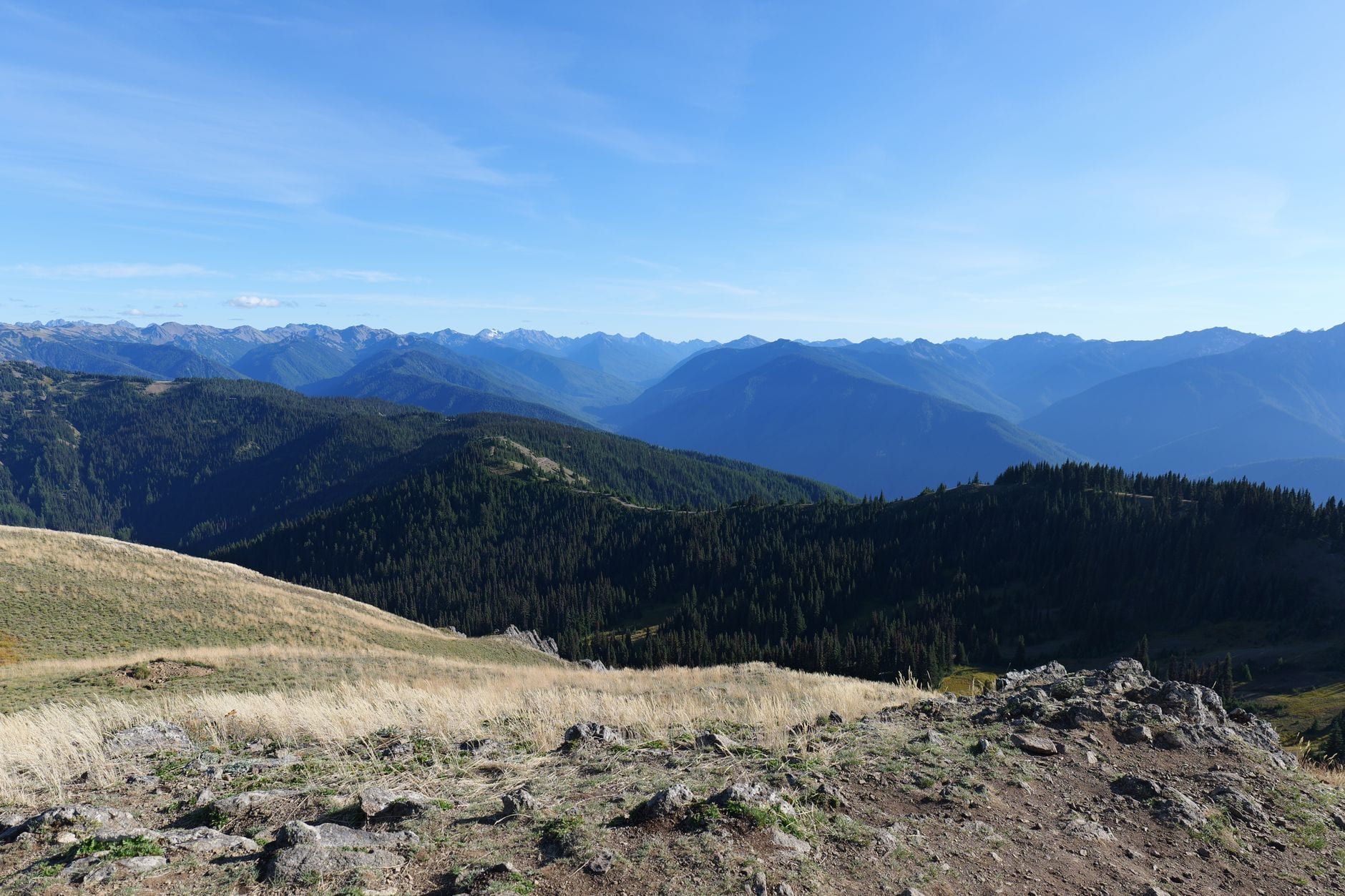 Panoramic view of layered mountain ridges and evergreen valleys stretching to the horizon under a clear blue sky in Olympic National Park.