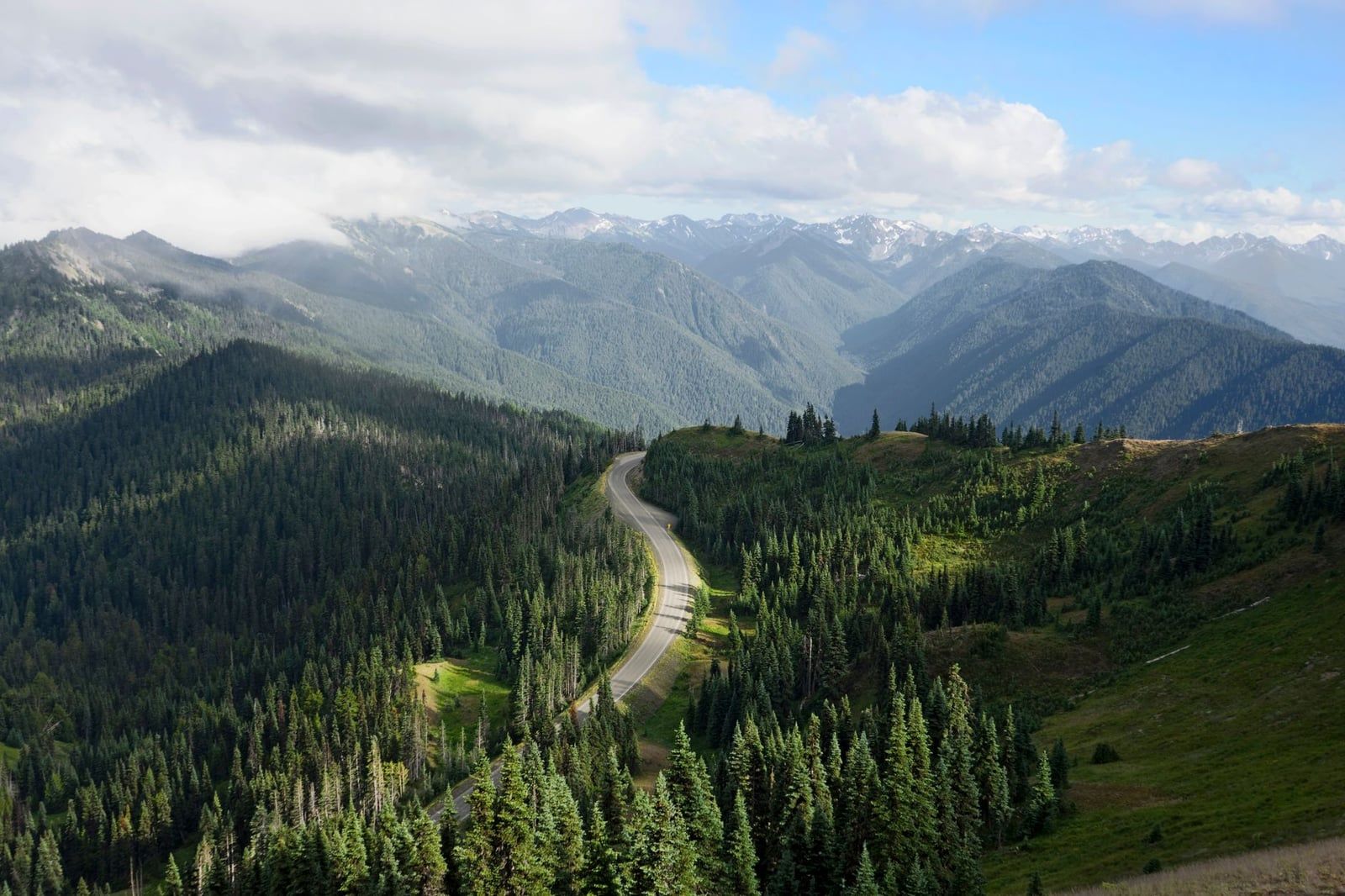 Hurricane Ridge Road winds through subalpine evergreen forests with the layered peaks of the Olympic Mountains in Olympic National Park.