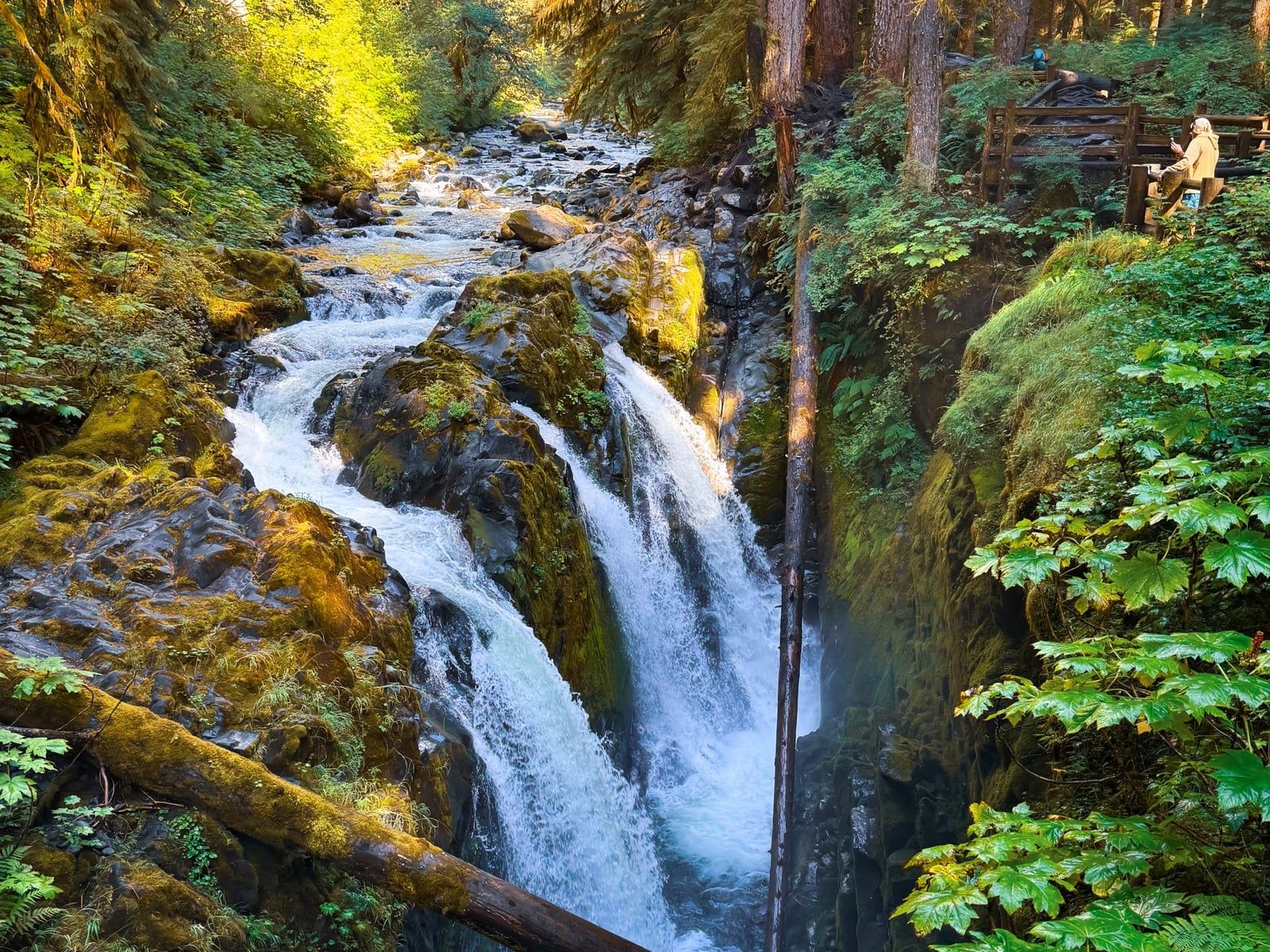 Sol Duc Falls cascades into a rocky canyon surrounded by lush moss and temperate forest in Olympic National Park.
