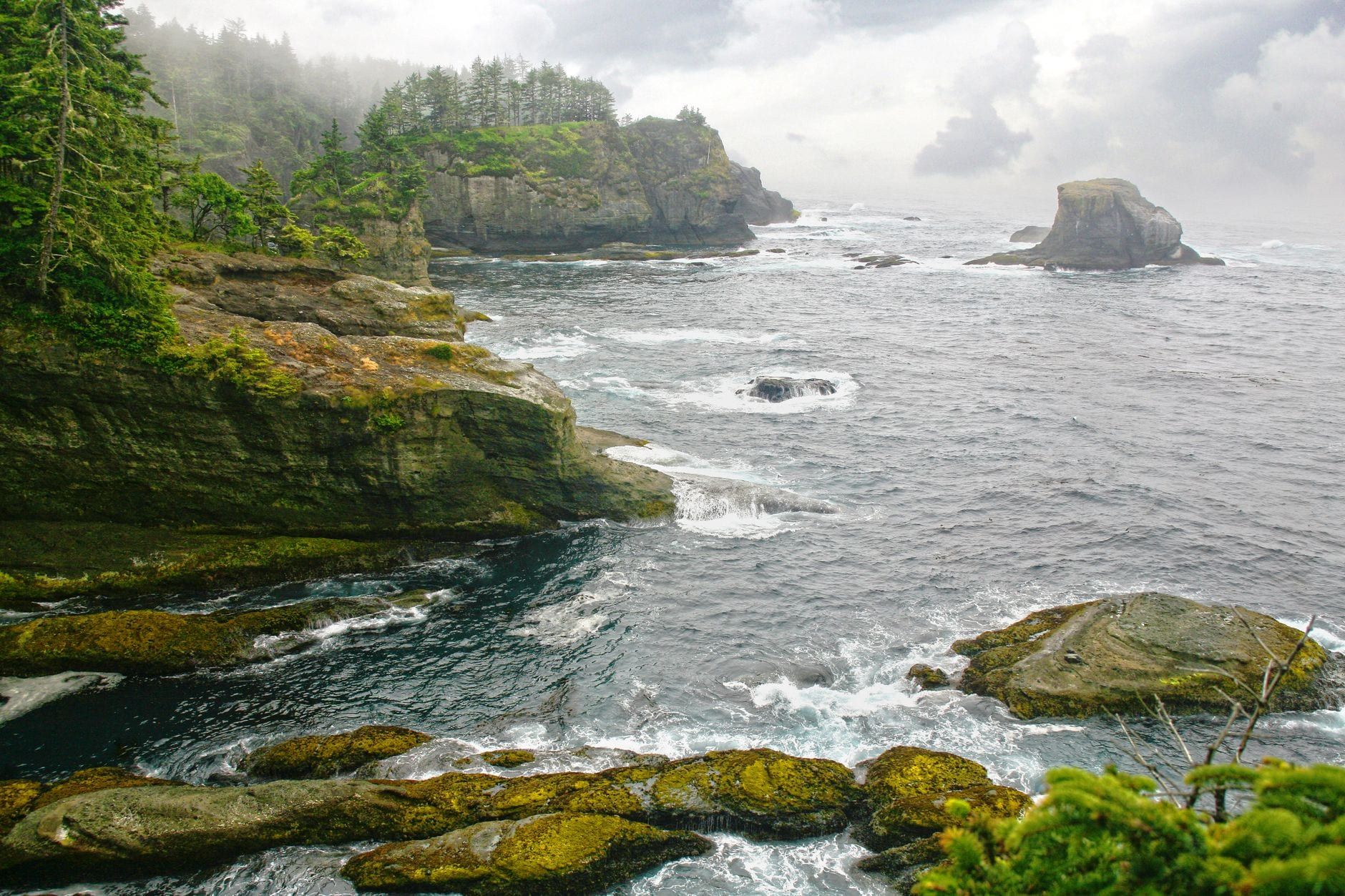 Rugged, forested cliffs and sea stacks meet the ocean waves along the misty coastline of Olympic National Park.
