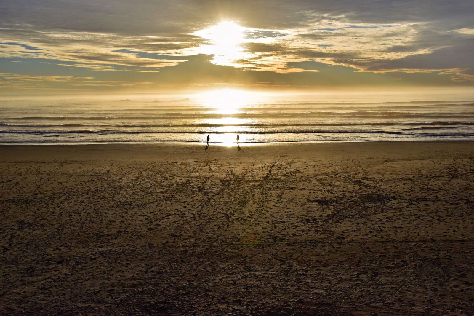 The setting sun reflects across the wide sandy surf beach at Kalaloch in Olympic National Park.