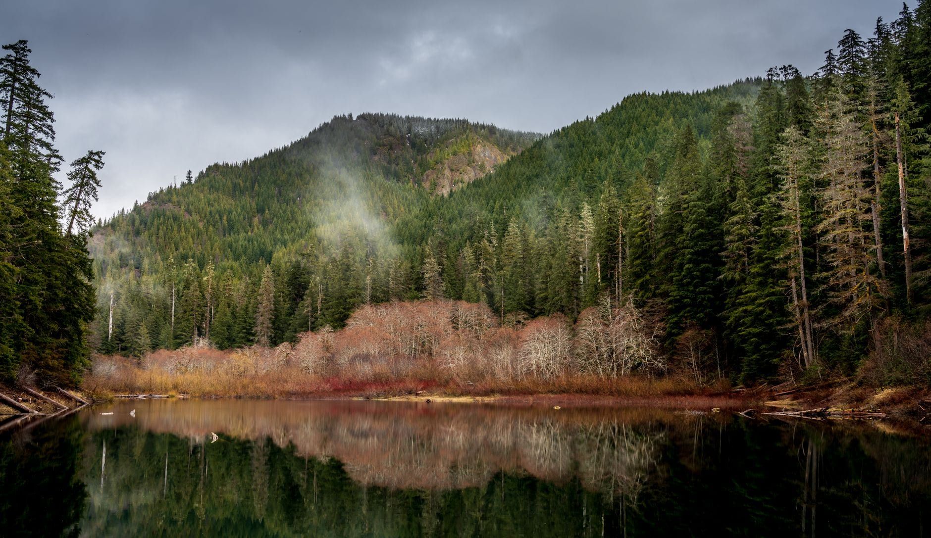 Misty forested mountains and colorful shoreline trees reflect on the surface of a calm lake in Olympic National Park.