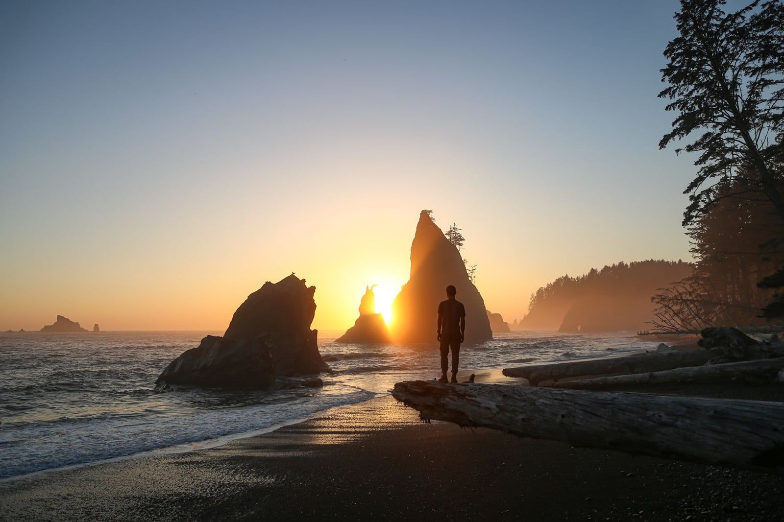 A silhouetted visitor stands on a driftwood log overlooking coastal sea stacks at sunset on Rialto Beach in Olympic National Park.
