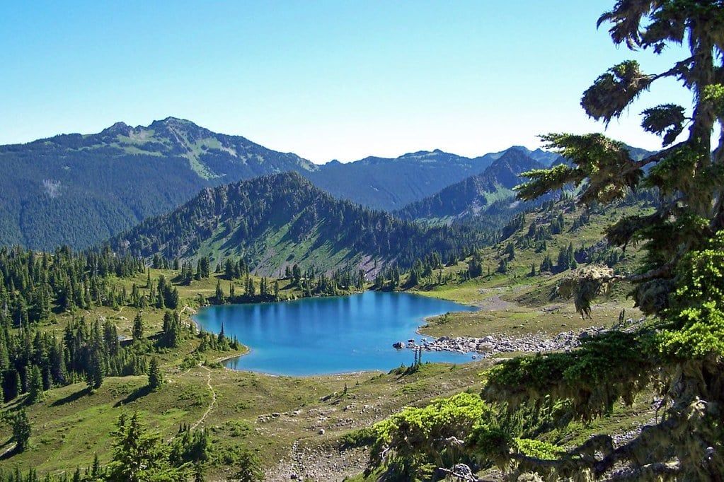 An alpine lake rests in a green subalpine basin surrounded by conifer forest and distant mountain ridges in Olympic National Park.