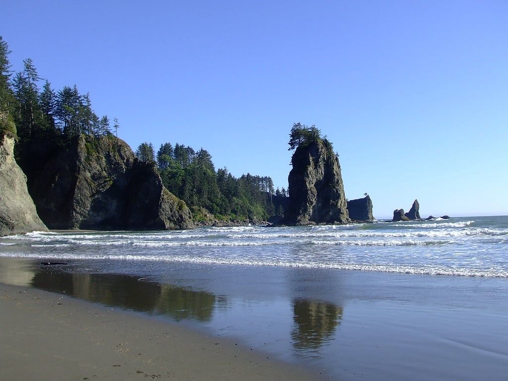 Forested sea stacks rise above the surf along the sandy shoreline of Second Beach near La Push in Olympic National Park.