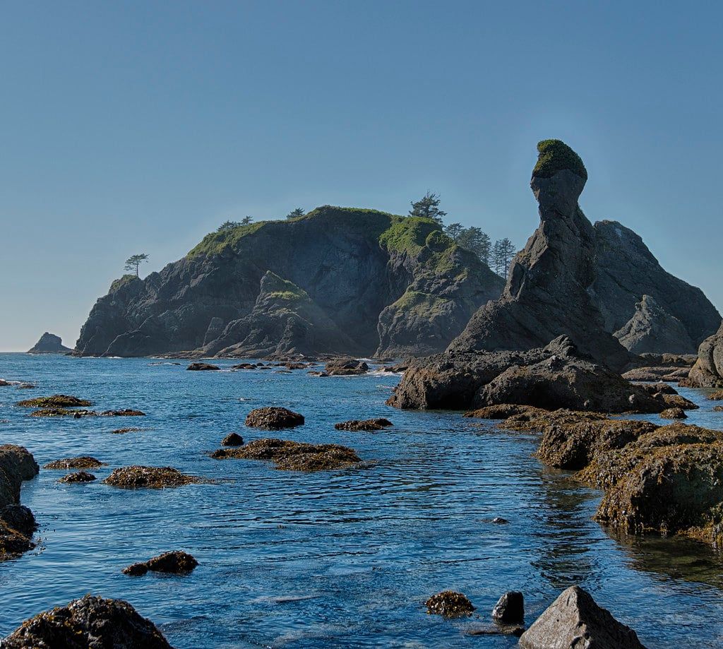 Rugged sea stacks and rocky islets rise from calm Pacific waters along the coast at Point of the Arches in Olympic National Park.