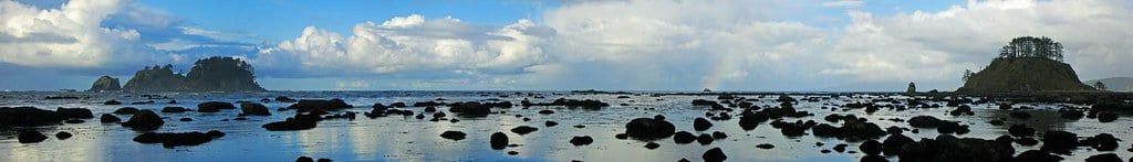 Boulders and tide pools cover the rugged shoreline at Cape Alava with forested sea stacks in Olympic National Park.
