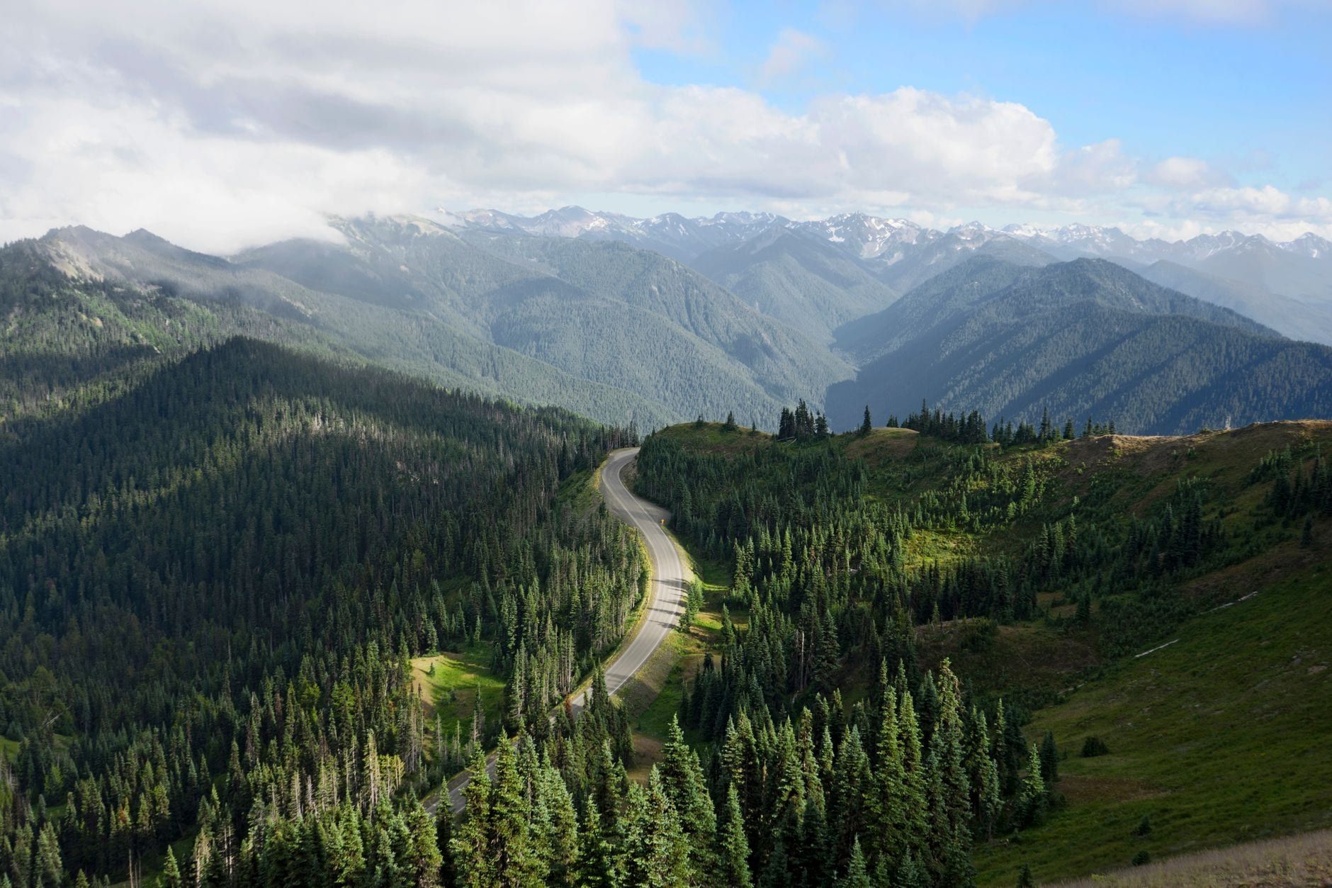 A paved mountain road winds through evergreen forests across the rugged ridges of Olympic National Park.