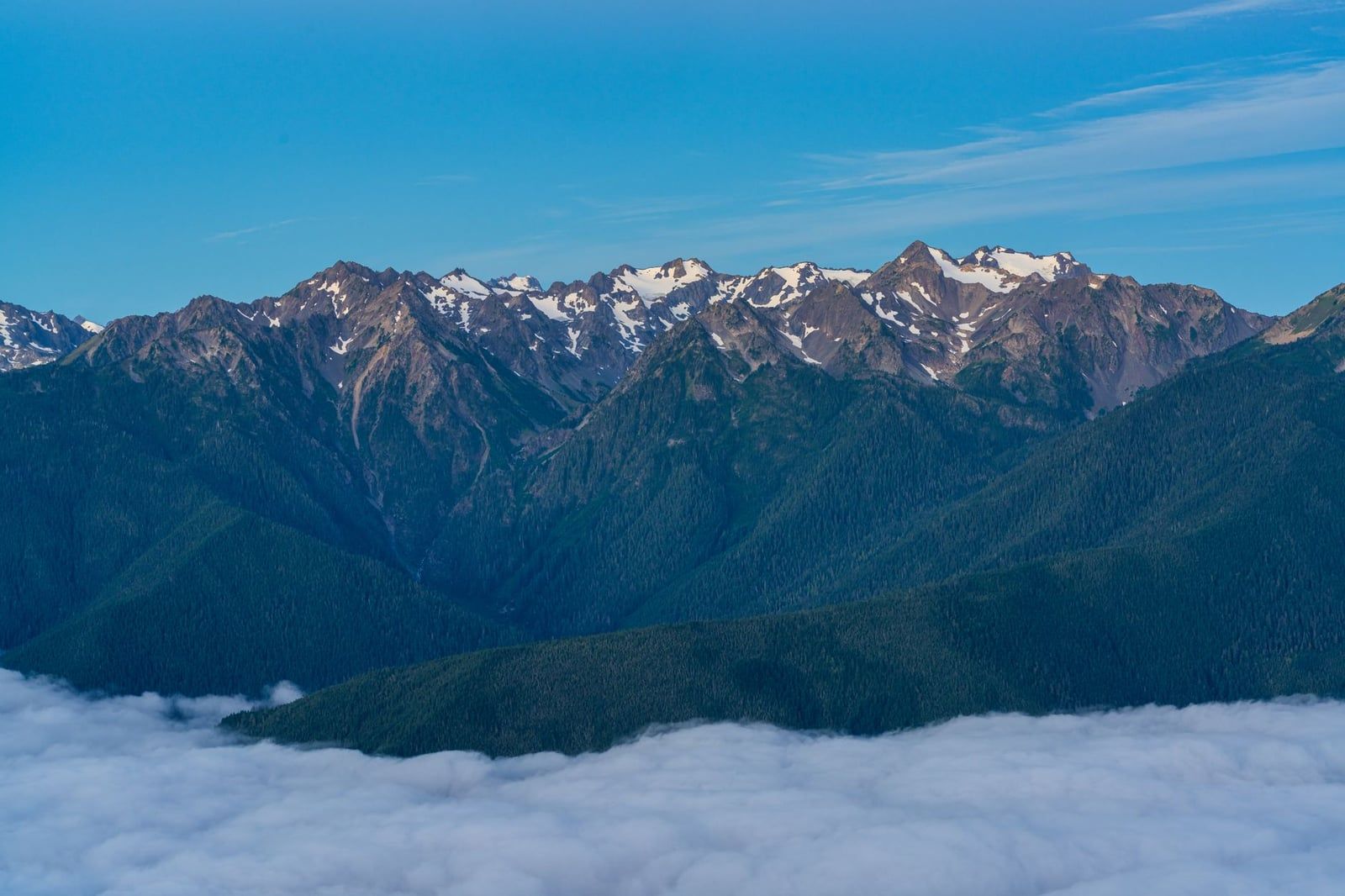 Snow-capped peaks of the Olympic Mountains rise above a sea of low clouds under a clear blue sky in Olympic National Park.