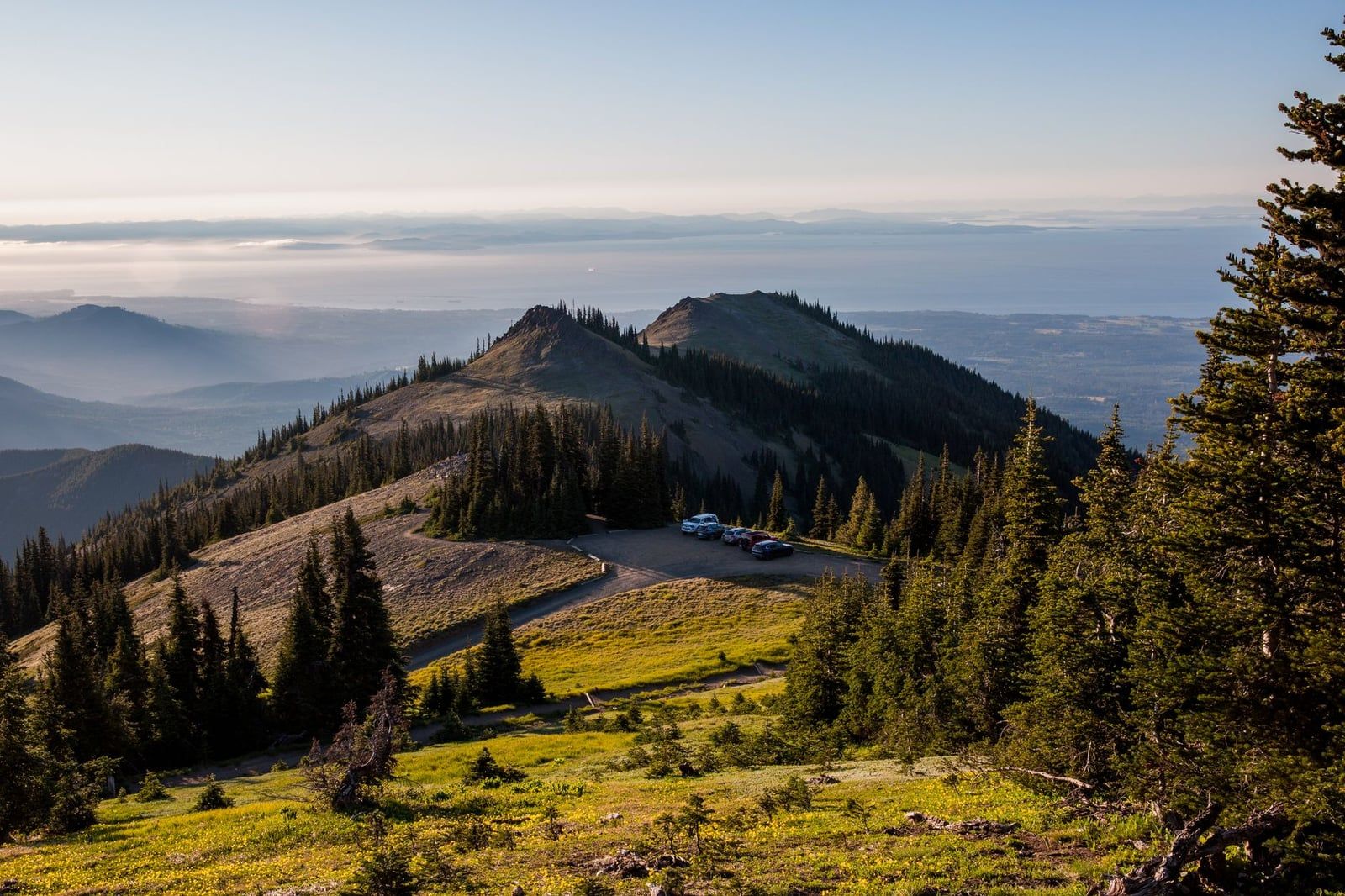Subalpine wildflowers and evergreen trees line a mountain ridge trail overlooking forested valleys and distant waters in Olympic National Park.