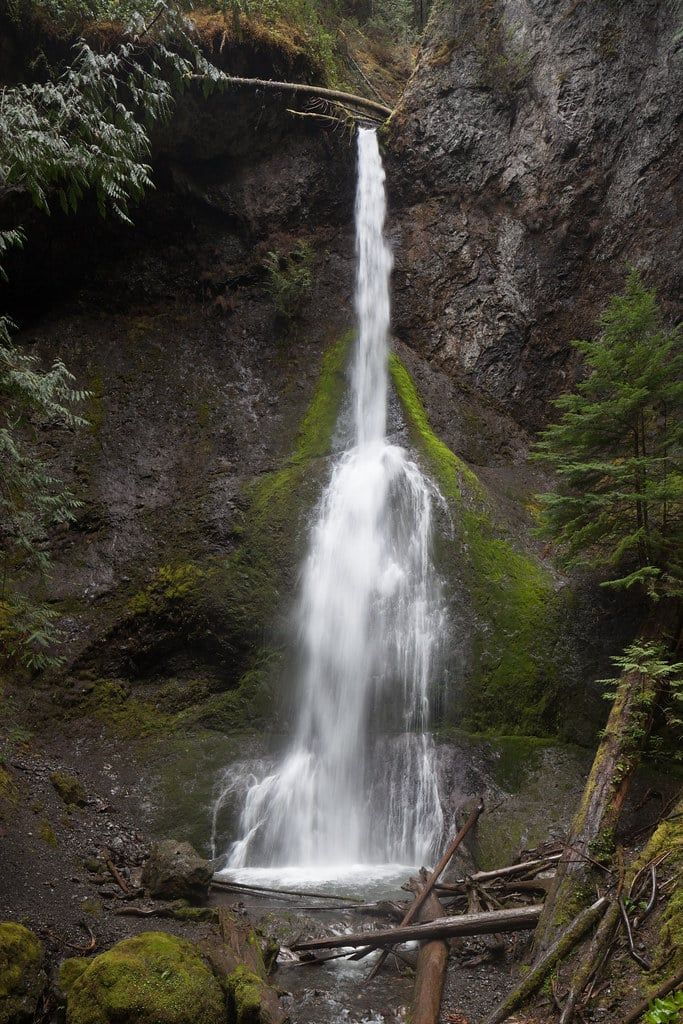 Marymere Falls cascades down a moss-covered rock cliff in Olympic National Park.