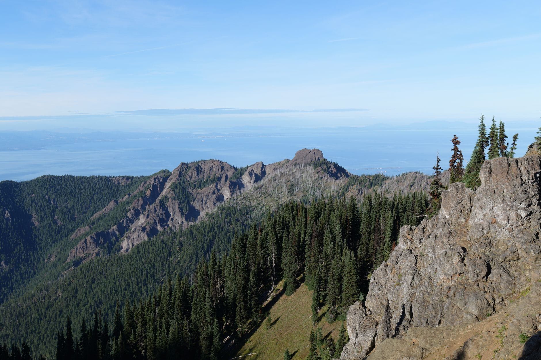 Panoramic view of rugged forested mountains and rocky outcroppings beneath a clear sky in Olympic National Park.