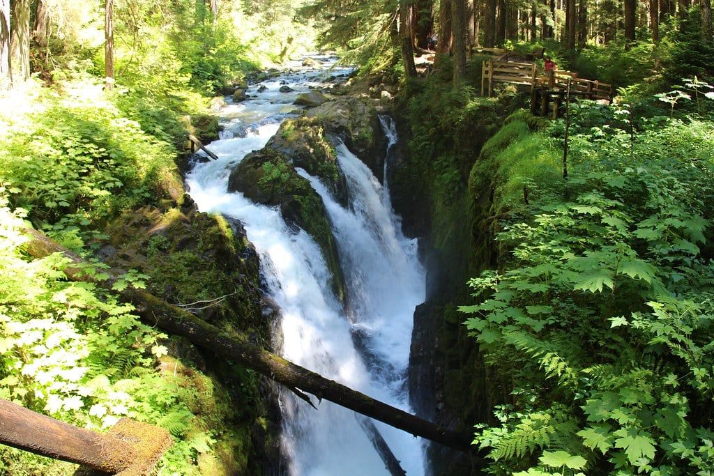 Sol Duc Falls rushes down into a steep, moss-covered rocky chasm surrounded by lush forest in Olympic National Park.
