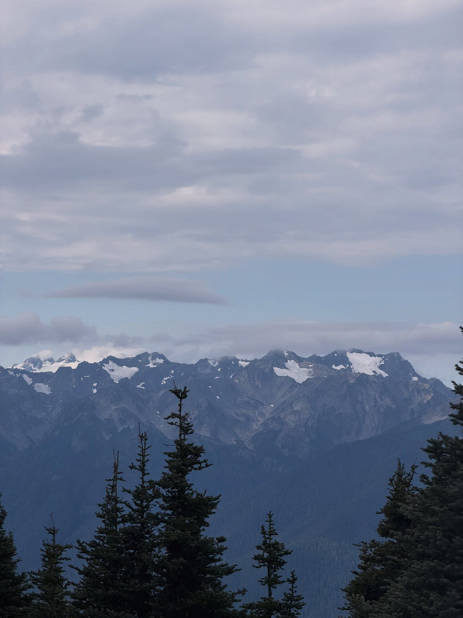 Olympic National Park view