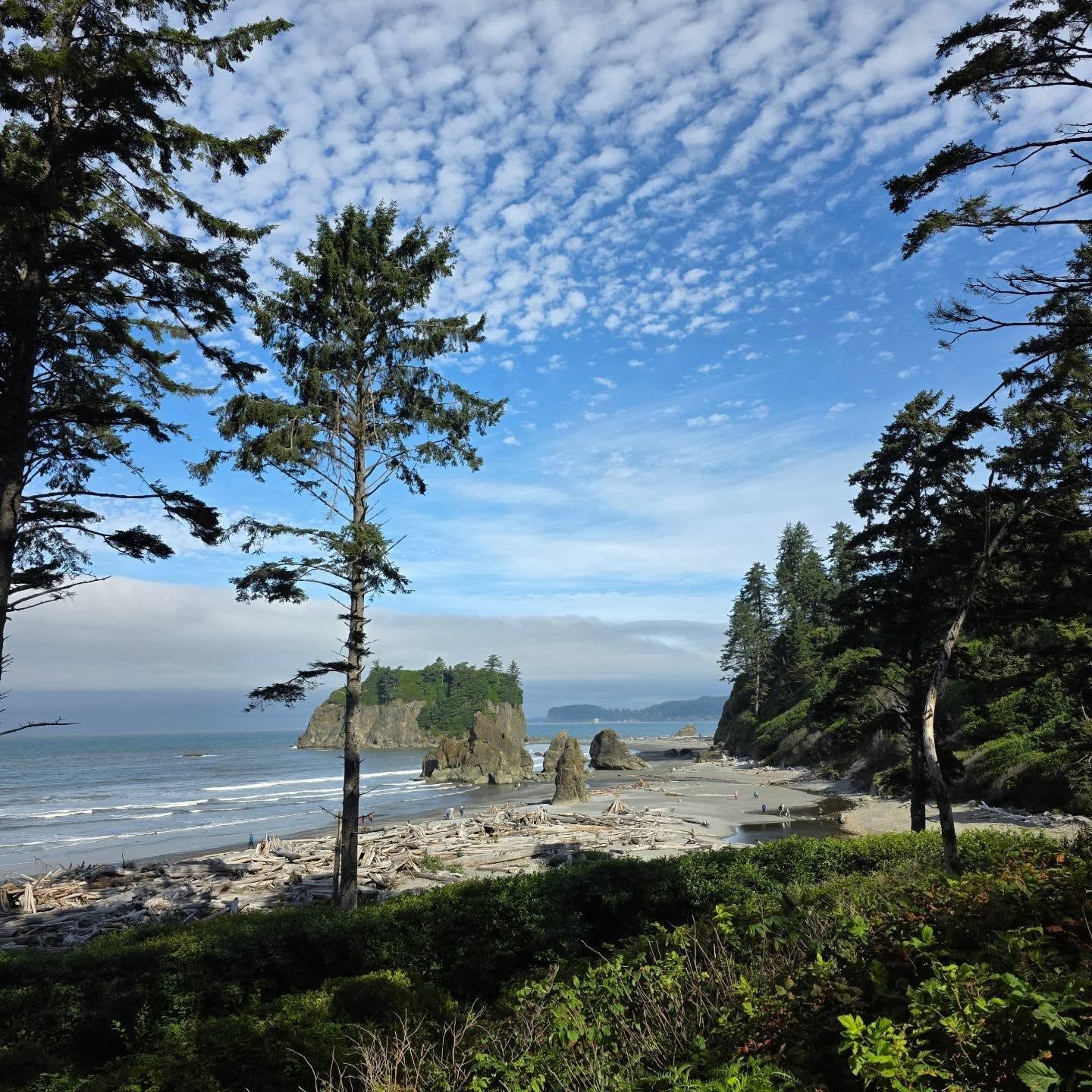 Olympic National Park view