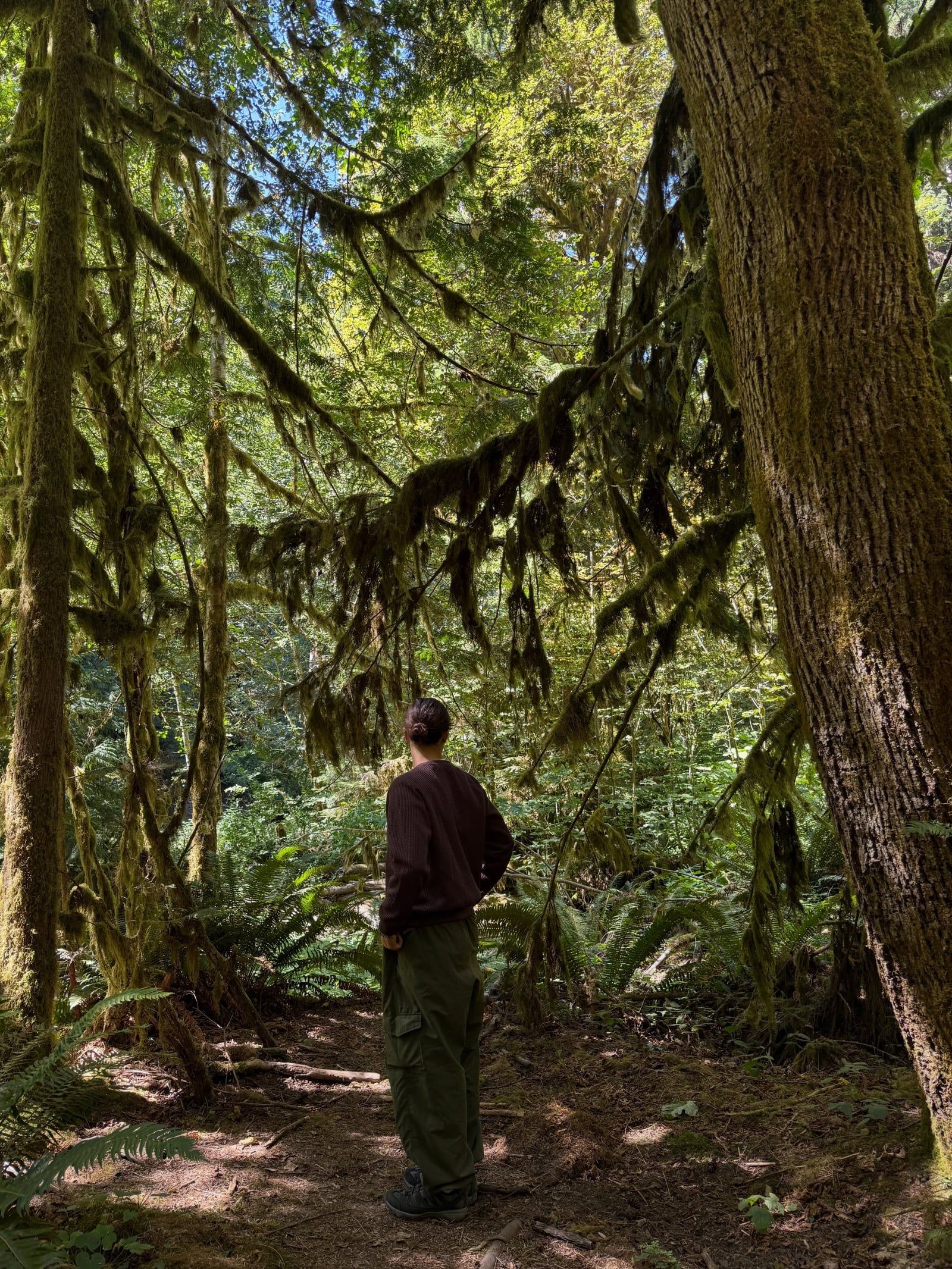 Olympic National Park tour visitor photo