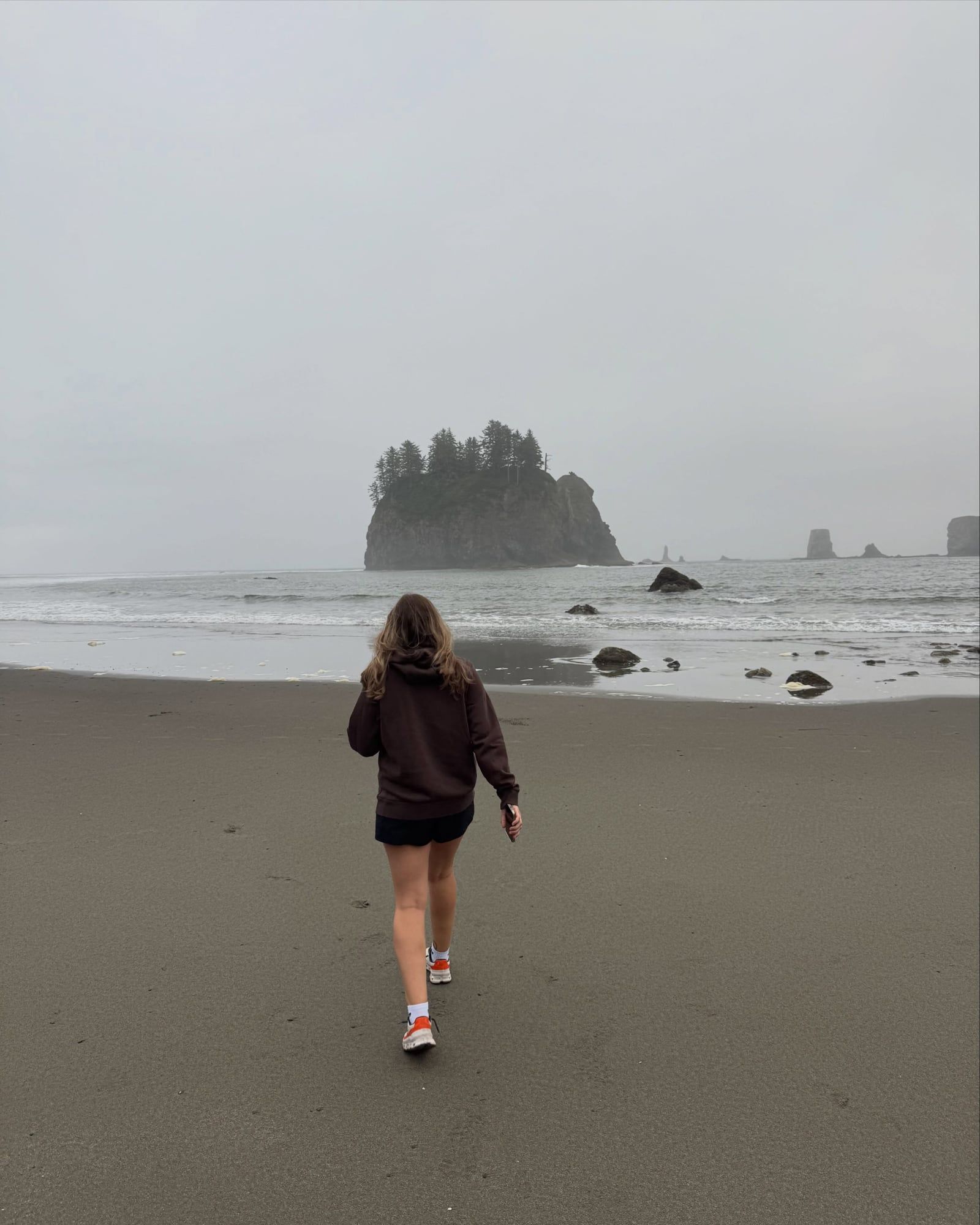 Olympic National Park tour visitor photo